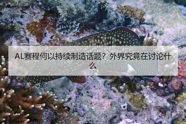 AL赛程何以持续制造话题？外界究竟在讨论什么